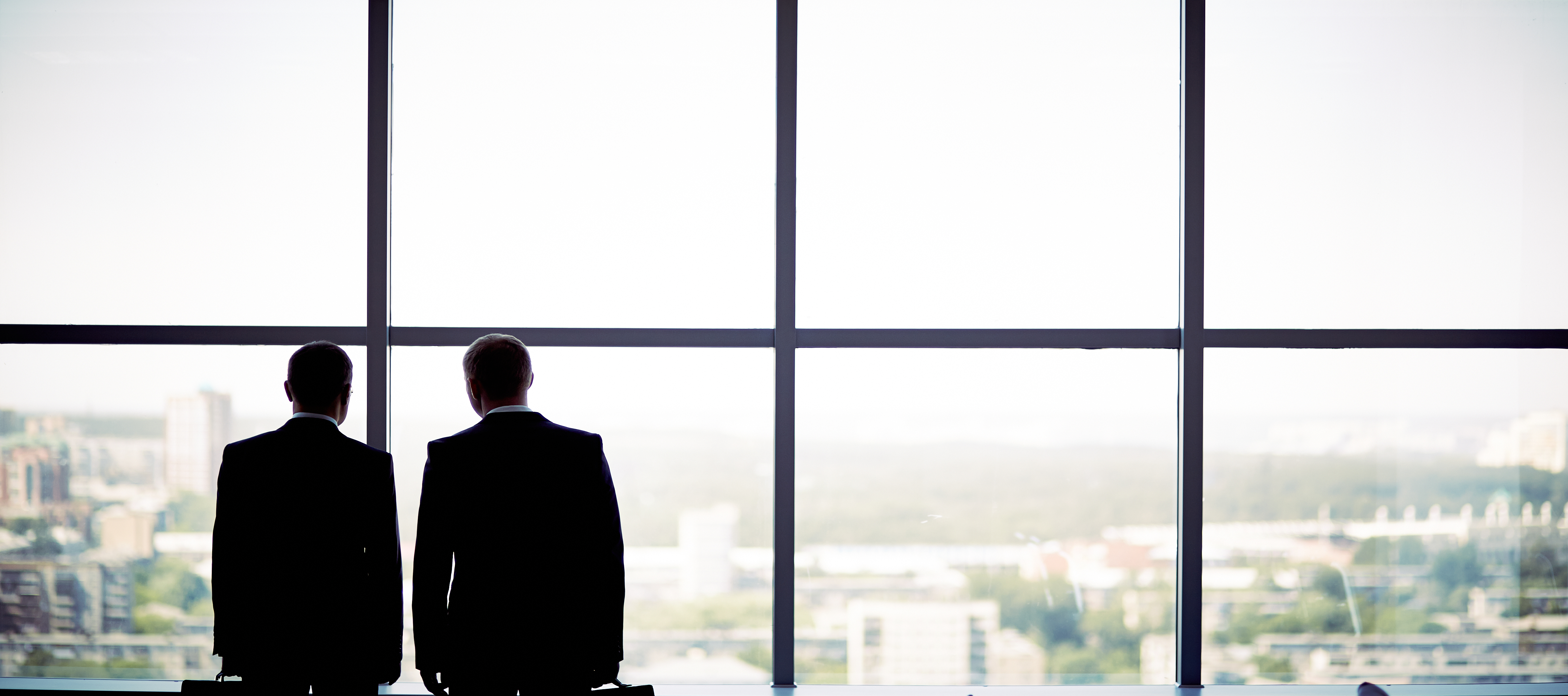 Professional business consultation